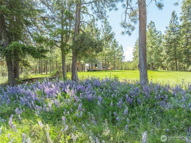493 Bill Oules Rd, Chelan, WA 98816
