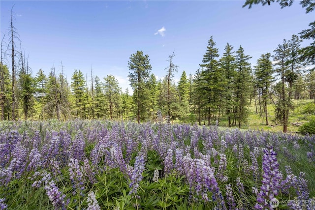 493 Bill Oules Rd, Chelan, WA 98816