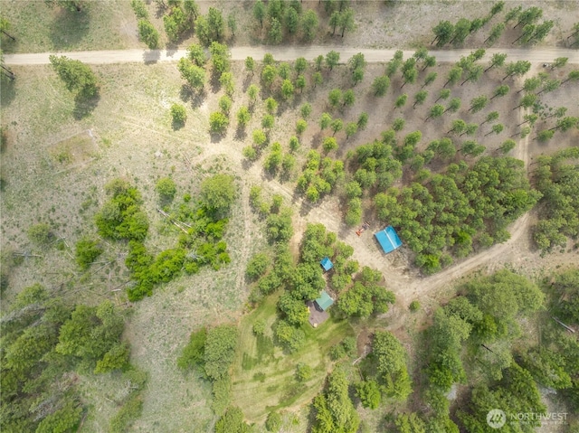 493 Bill Oules Rd, Chelan, WA 98816