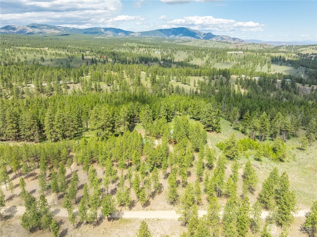493 Bill Oules Rd, Chelan, WA 98816