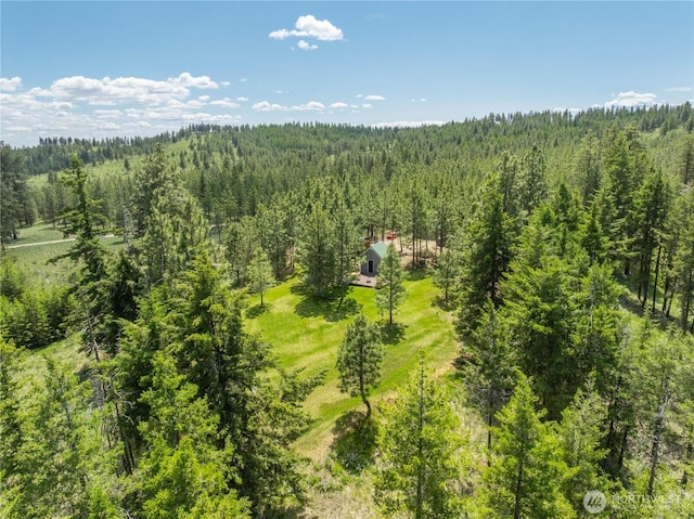 493 Bill Oules Rd, Chelan, WA 98816