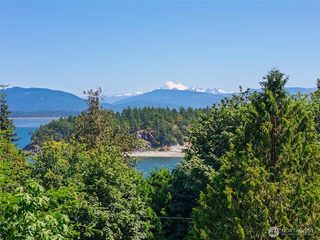 7773 Hideaway Ln, Anacortes, WA 98221 - view of mountain background featuring a nearby body of water and a heavily wooded area