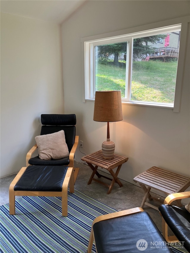 7773 Hideaway Ln, Anacortes, WA 98221 - living area with lofted ceiling