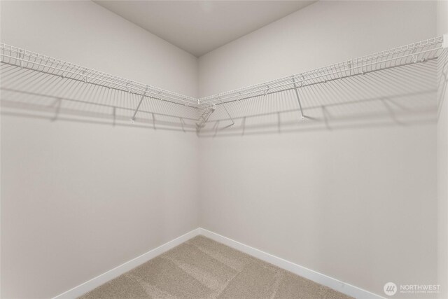 4043 98th Avenue Ct E Unit 24, Edgewood, WA 98371 - walk in closet with light colored carpet