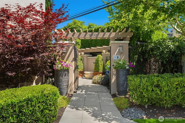 10132 NE 59th St Unit C, Kirkland, WA 98033 - photo 34