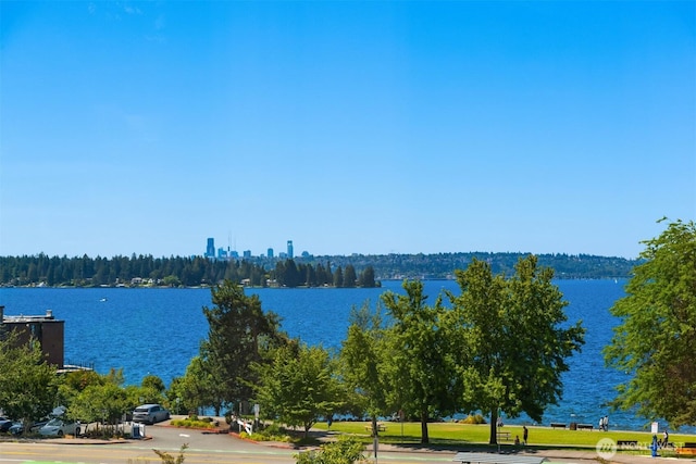10132 NE 59th St Unit C, Kirkland, WA 98033 - photo 3