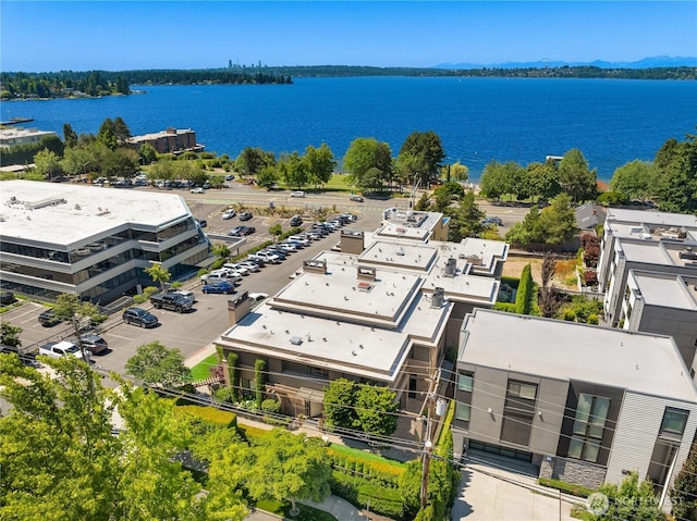 10132 NE 59th St Unit C, Kirkland, WA 98033 - photo 37