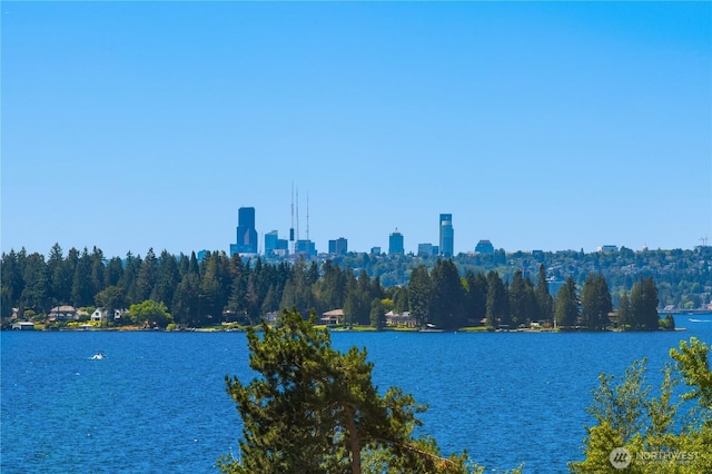 10132 NE 59th St Unit C, Kirkland, WA 98033 - photo 39