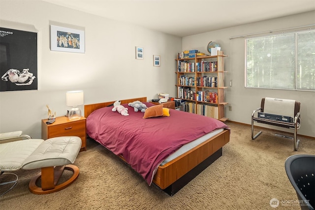 3939 108th Ave NE Unit A104, Bellevue, WA 98004 - bedroom with carpet floors
