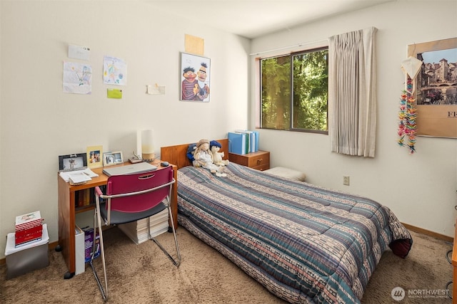 3939 108th Ave NE Unit A104, Bellevue, WA 98004 - bedroom with carpet floors