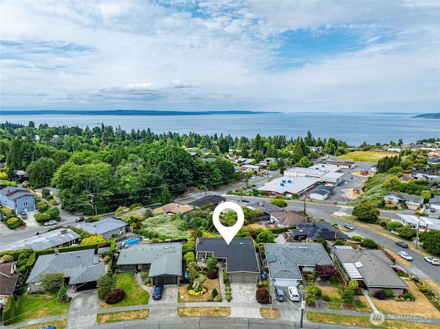 8751 Jones Ave NW, Seattle, WA 98117 - aerial perspective of suburban area featuring a large body of water