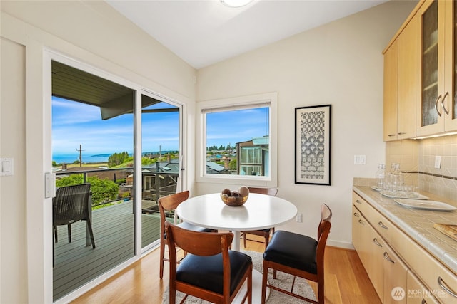 8751 Jones Ave NW, Seattle, WA 98117 - dining room featuring light wood-style flooring and baseboards
