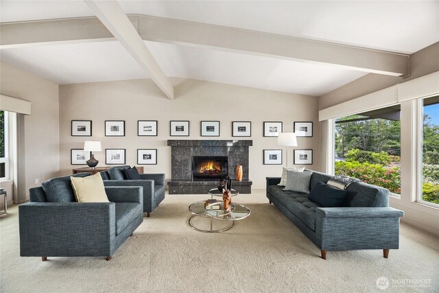 8751 Jones Ave NW, Seattle, WA 98117 - carpeted living room with plenty of natural light and a high end fireplace