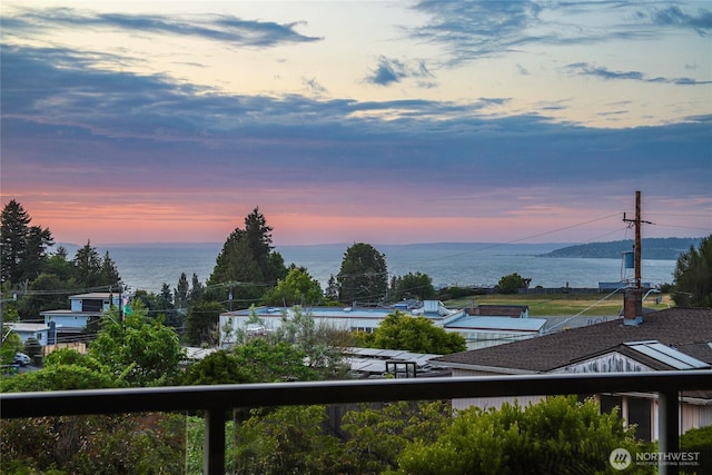 8751 Jones Ave NW, Seattle, WA 98117 - water view