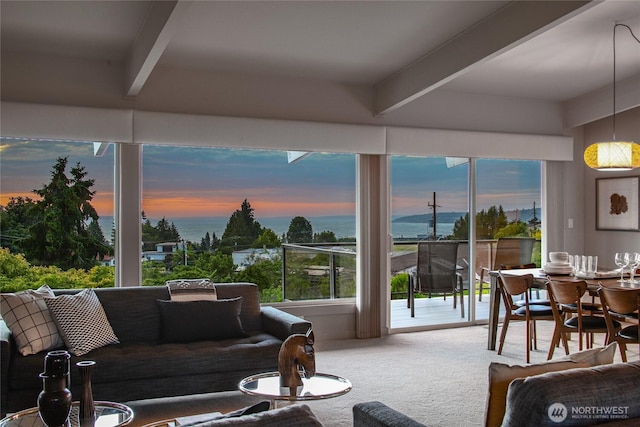 8751 Jones Ave NW, Seattle, WA 98117 - carpeted living area featuring beamed ceiling and a water view