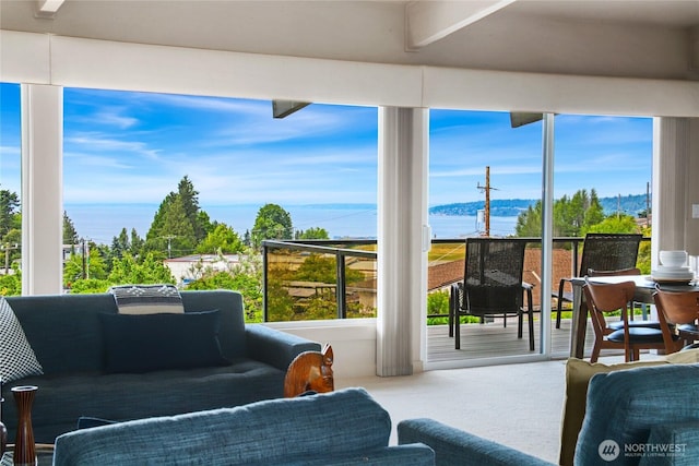 8751 Jones Ave NW, Seattle, WA 98117 - sunroom / solarium with plenty of natural light, a water view, and carpet