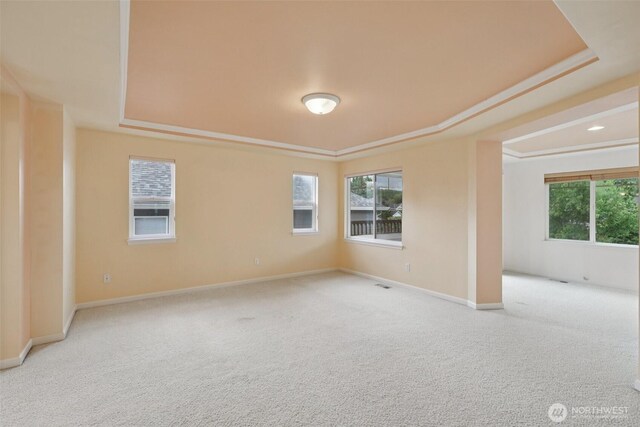 3301 Monterey Ct NE, Renton, WA 98056 - unfurnished room with a raised ceiling and carpet floors