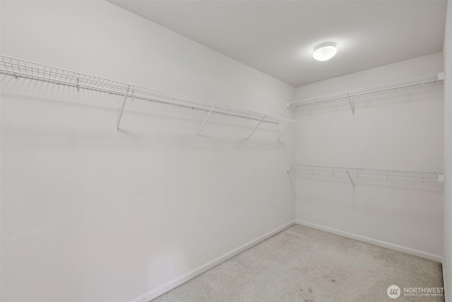 3301 Monterey Ct NE, Renton, WA 98056 - walk in closet with light carpet
