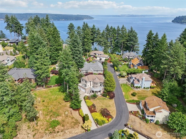 2505 81st St NW, Gig Harbor, WA 98332 - photo 38