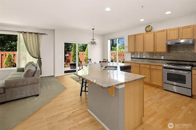 21609 46th Pl S Unit 95, Kent, WA 98032 - kitchen featuring appliances with stainless steel finishes, under cabinet range hood, light wood-style floors, recessed lighting, and a kitchen bar
