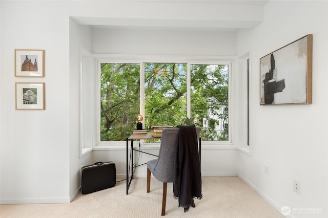 201 20th Ave E, Seattle, WA 98112 - office area featuring carpet and healthy amount of natural light