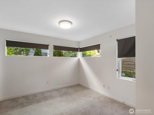 733 Martin Luther King Jr Way, Seattle, WA 98144 - photo 11