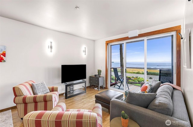 7714 Birch Bay Dr Unit 203, Blaine, WA 98230 - living room featuring baseboards and light wood-style floors