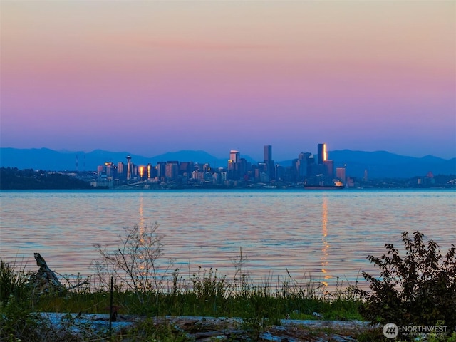 9882 Manitou Beach Dr NE, Bainbridge Island, WA 98110 - water view featuring mountains and skyline