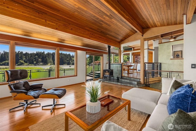 9882 Manitou Beach Dr NE, Bainbridge Island, WA 98110 - sunroom / solarium featuring a wood stove