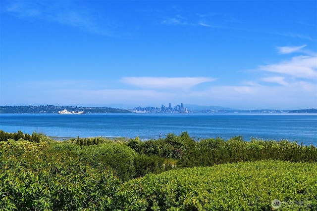 9882 Manitou Beach Dr NE, Bainbridge Island, WA 98110 - water view