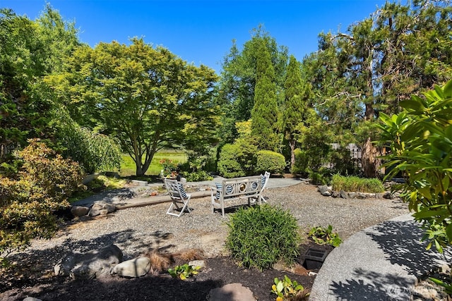 9882 Manitou Beach Dr NE, Bainbridge Island, WA 98110 - view of yard featuring a patio area