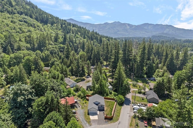 7952 Apache Dr, Maple Falls, WA 98266 - aerial view of a forest and a mountainous background