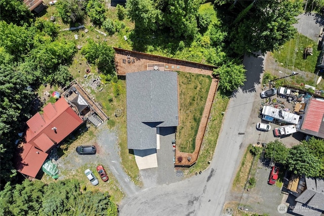 7952 Apache Dr, Maple Falls, WA 98266 - drone / aerial view