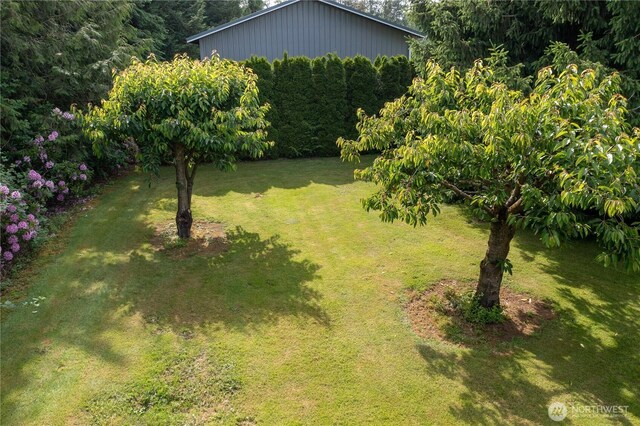 677 Schultz Dr, Bellingham, WA 98226 - view of green lawn