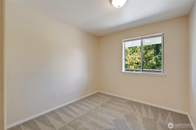6015 Dexter Ave Unit A/B, Everett, WA 98203 - photo 37