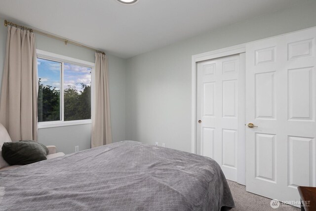 1233 17th Ave SW, Puyallup, WA 98371 - photo 26
