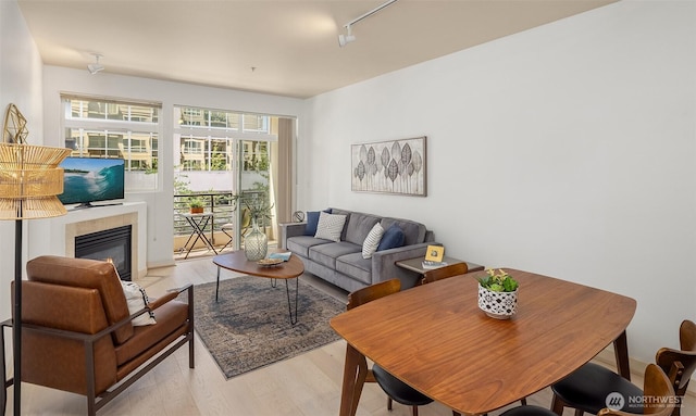300 110th Ave NE Unit 303, Bellevue, WA 98004 - living room with light wood-style flooring, rail lighting, and a fireplace with flush hearth