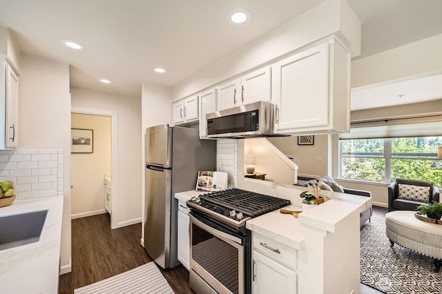 17201 127th Pl NE Unit 101, Woodinville, WA 98072 - kitchen featuring stainless steel appliances, white cabinets, backsplash, dark wood finished floors, and recessed lighting
