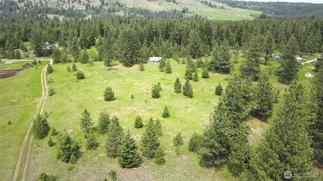 13 Miners Ridge Rd, Oroville, WA 98844