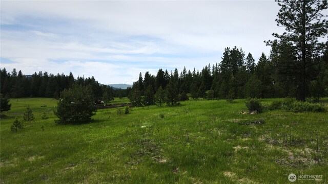 13 Miners Ridge Rd, Oroville, WA 98844
