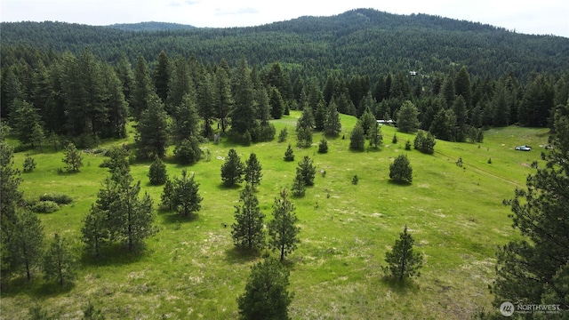 13 Miners Ridge Rd, Oroville, WA 98844