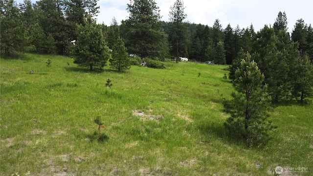 13 Miners Ridge Rd, Oroville, WA 98844