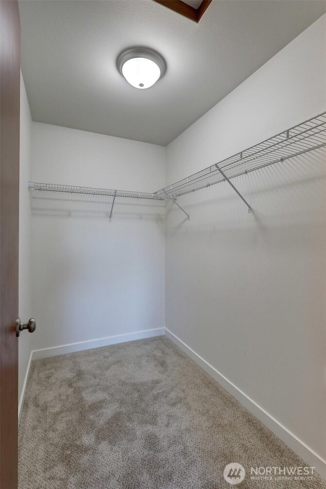 1011 S 64th St, Tacoma, WA 98408 - spacious closet featuring carpet flooring