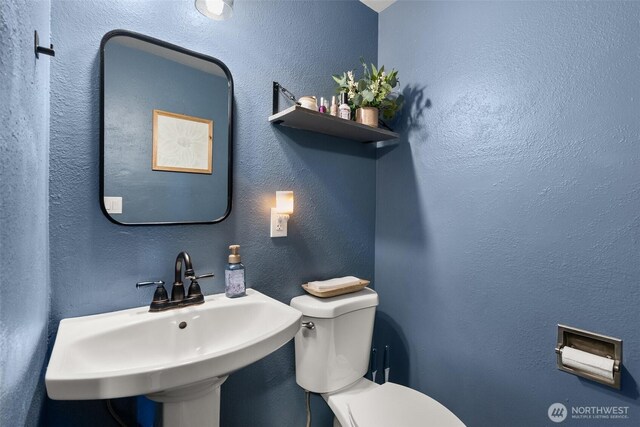 252 Country Ridge Ln, Centralia, WA 98531 - photo 33