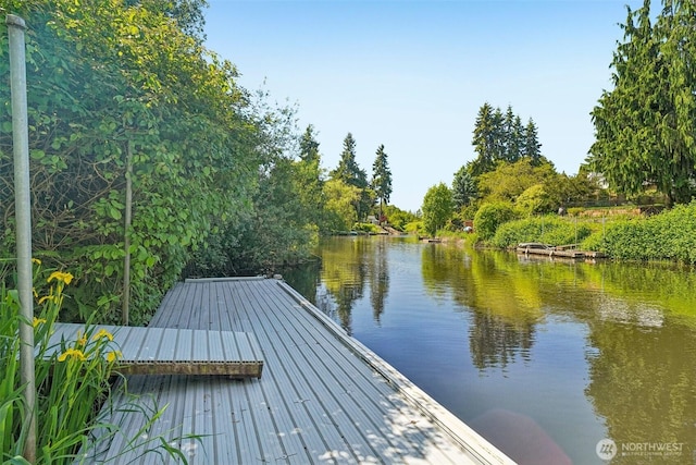 11112 E Riverside Dr, Bothell, WA 98011 - dock area featuring a water view
