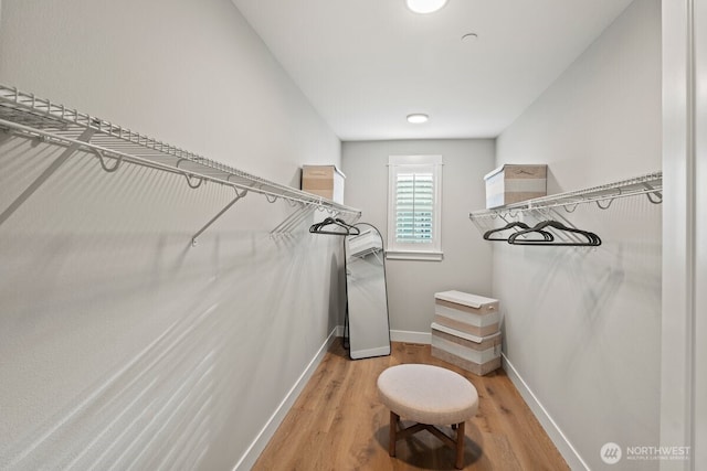 3348 218th St SE, Bothell, WA 98021 - spacious closet with light wood finished floors
