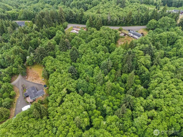 158 S Fork Rd, Raymond, WA 98577 - aerial overview of property's location with a forest