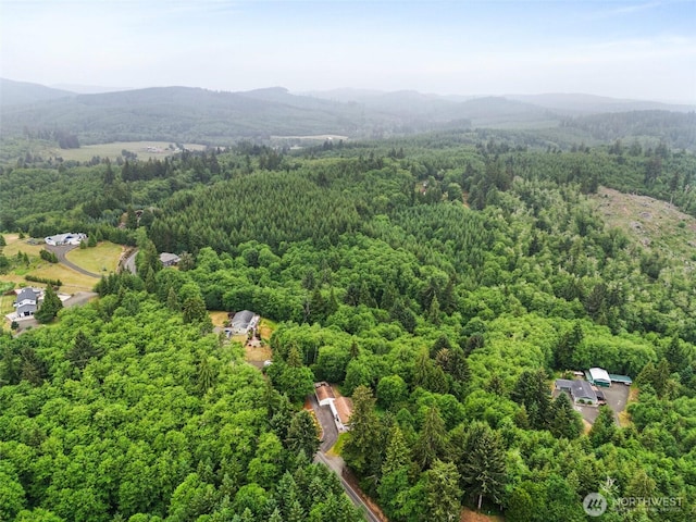 158 S Fork Rd, Raymond, WA 98577 - aerial view of mountains