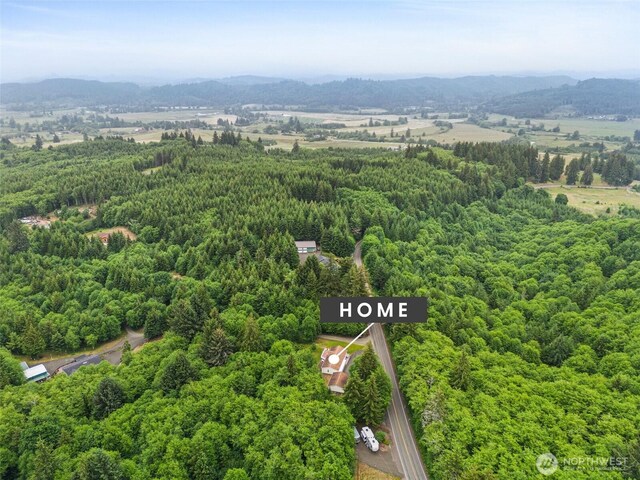 158 S Fork Rd, Raymond, WA 98577 - aerial view of a mountain backdrop