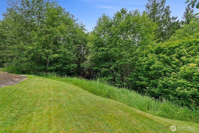 158 S Fork Rd, Raymond, WA 98577 - view of grassy yard with a view of trees